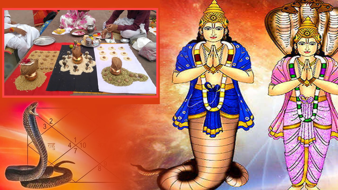 Kaal Sarp dosh Puja